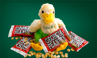 Celebrating Georgia Bank Peanut Week